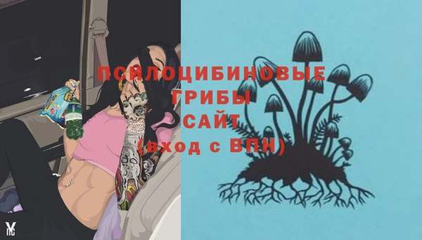 mdpv Алексин