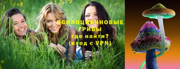 молекула духа Алзамай