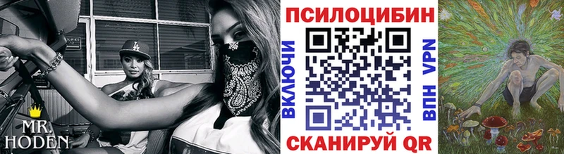 что такое   Ижевск  Галлюциногенные грибы GOLDEN TEACHER 