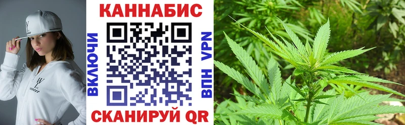 закладка  Ижевск  Конопля OG Kush 